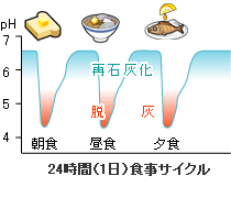 24時間(1日)食事サイクル